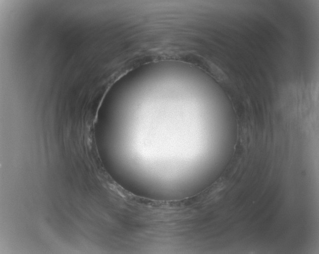 X0000082721010200701261024