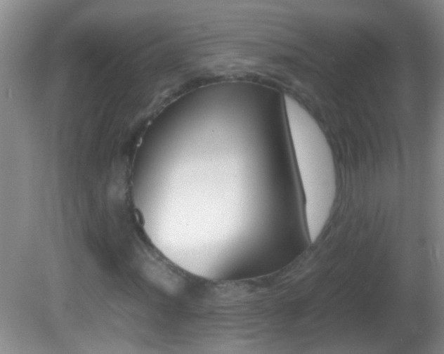 X0000082721012200701261024