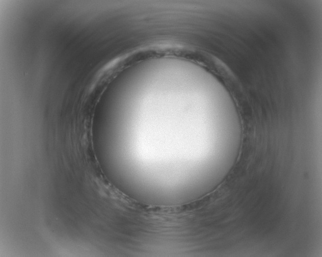 X0000082721016200701261024