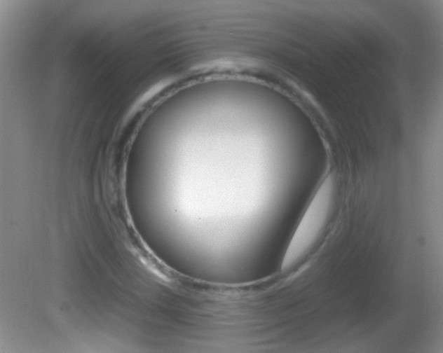 X0000082721018200701261024