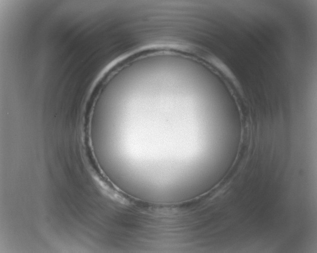 X0000082721020200701261024