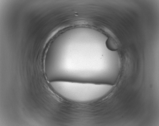 X0000082721023200701261024