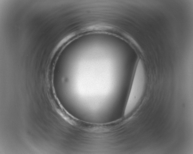X0000082721026200701261024