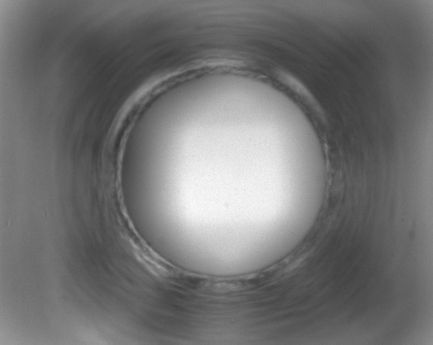 X0000082721027200701261024