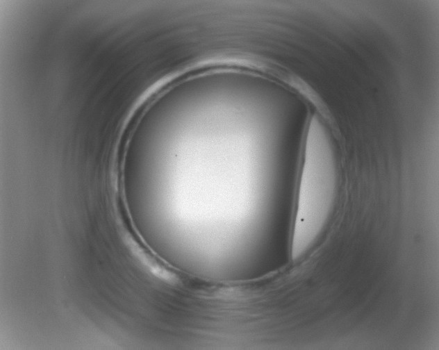 X0000082721028200701261024