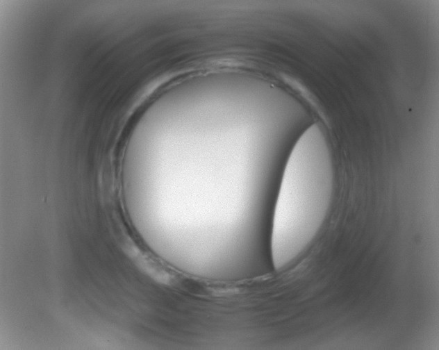 X0000082721031200701261024