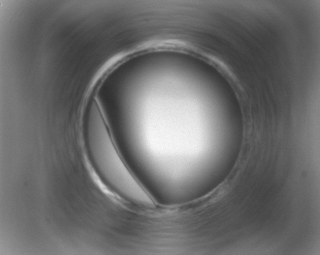 X0000082721038200701261024