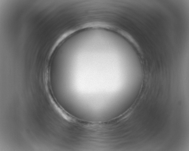 X0000082721040200701261024
