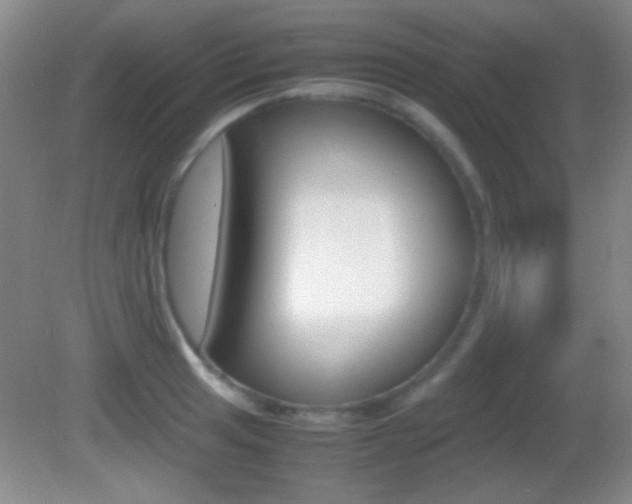 X0000082721041200701261024