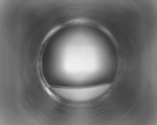 X0000082721042200701261024