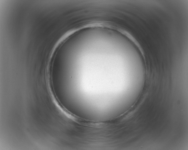 X0000082721045200701261025