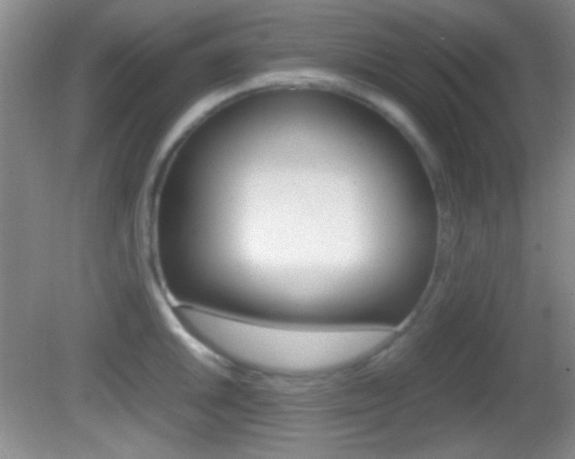 X0000082721046200701261025