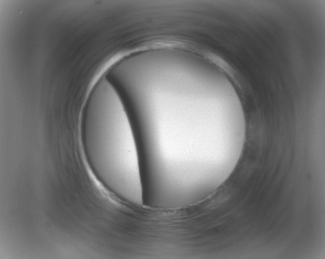 X0000082721047200701261025