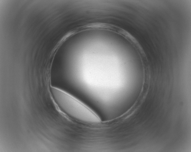 X0000082721049200701261025