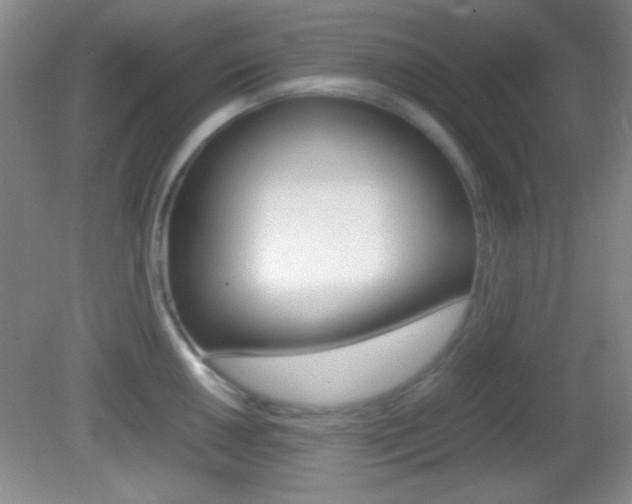 X0000082721050200701261025