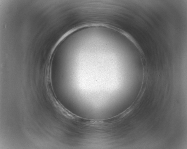 X0000082721052200701261025