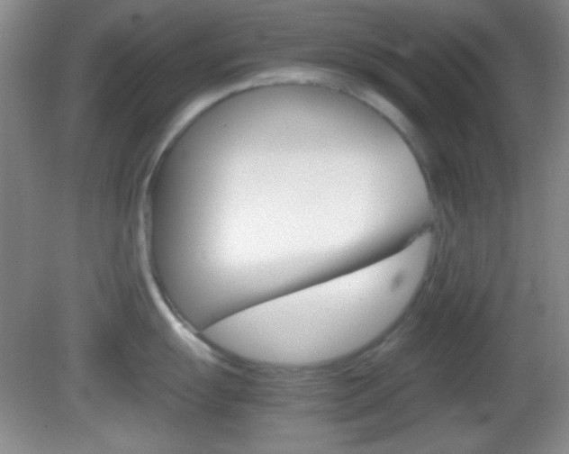 X0000082721055200701261025