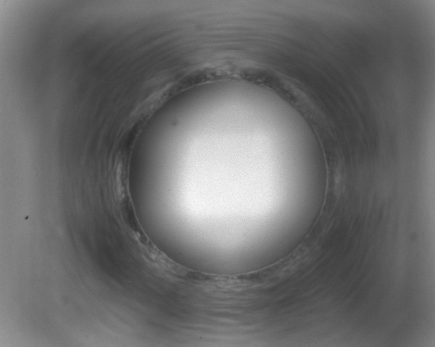 X0000082721060200701261024
