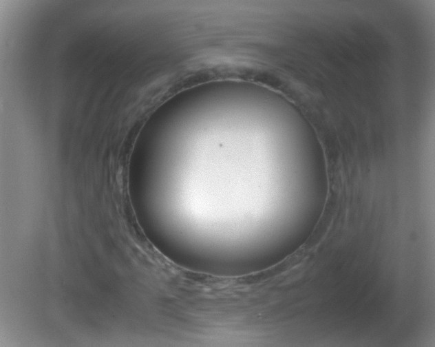 X0000082721061200701261024