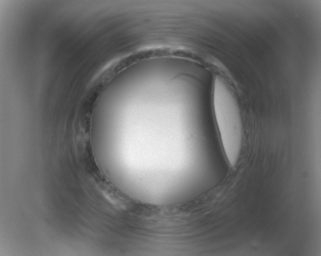 X0000082721064200701261024