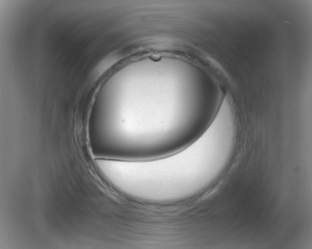 X0000082721065200701261024