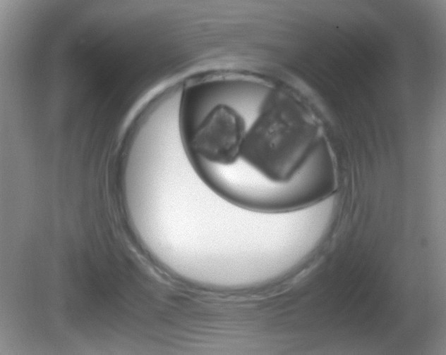 X0000082721069200701261024