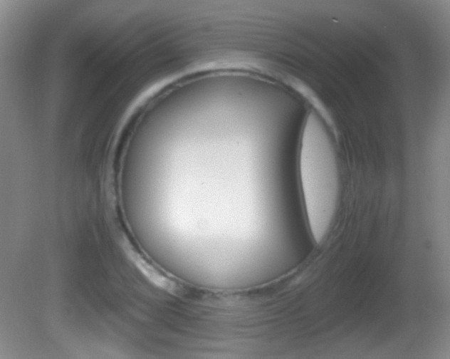 X0000082721072200701261024