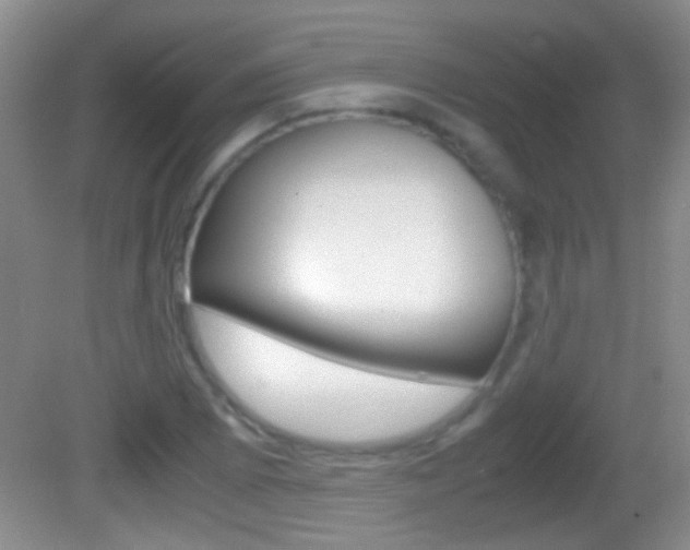 X0000082721073200701261024
