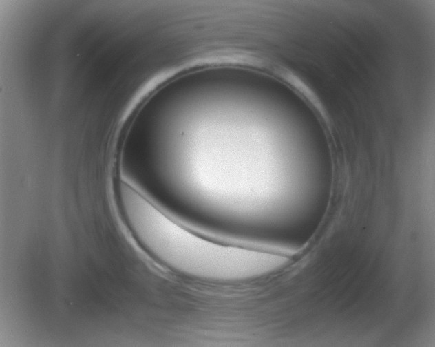 X0000082721093200701261023