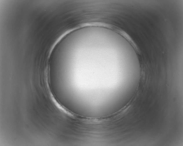 X0000082721100200701261023