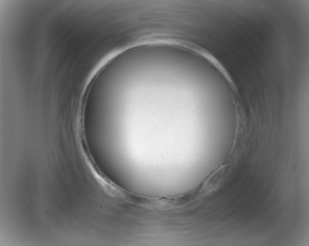 X0000082721101200701261023