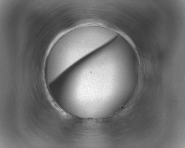 X0000082721104200701261023