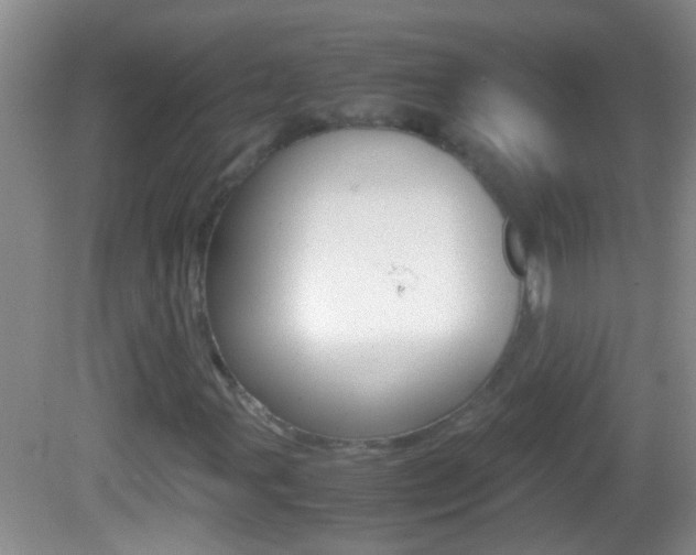 X0000082721107200701261022