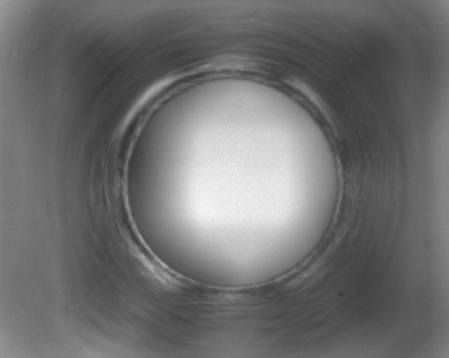 X0000082721115200701261022