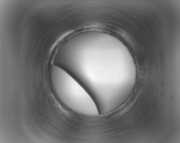X0000082721117200701261022