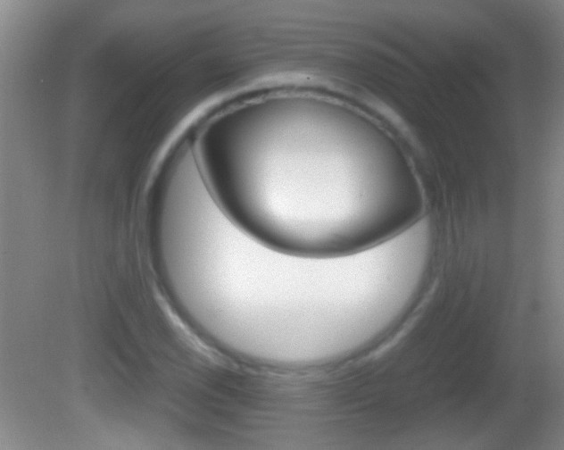 X0000082721118200701261023