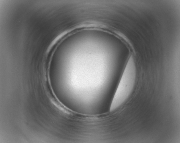 X0000082721120200701261023