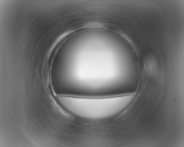 X0000082721123200701261023
