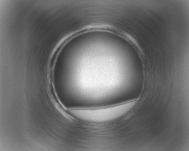 X0000082721124200701261023