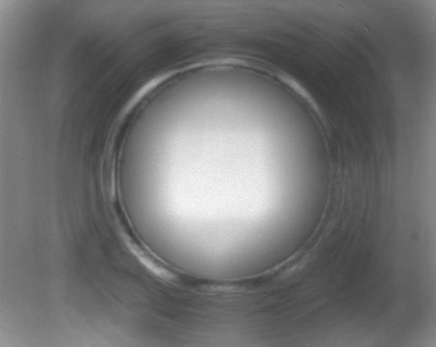 X0000082721127200701261023