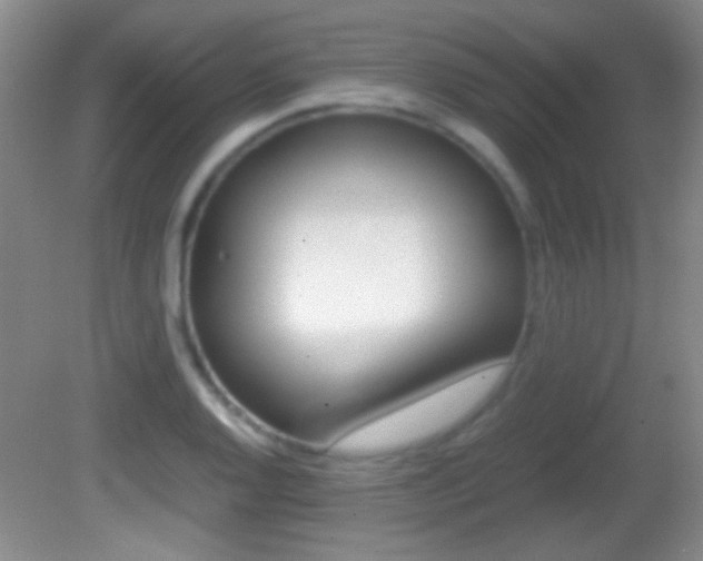 X0000082721128200701261023