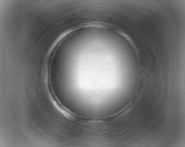 X0000082721131200701261023