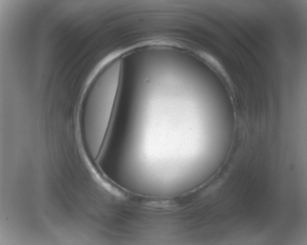 X0000082721133200701261023