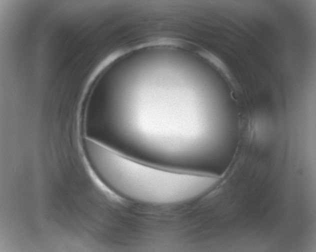 X0000082721135200701261023