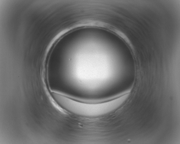 X0000082721136200701261023