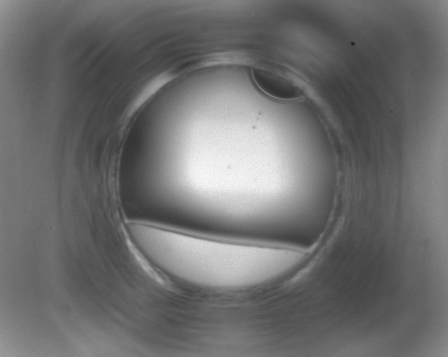 X0000082721137200701261023