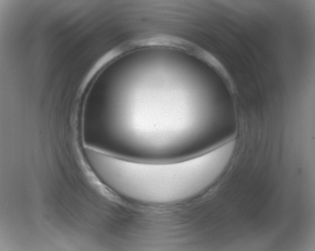 X0000082721138200701261023