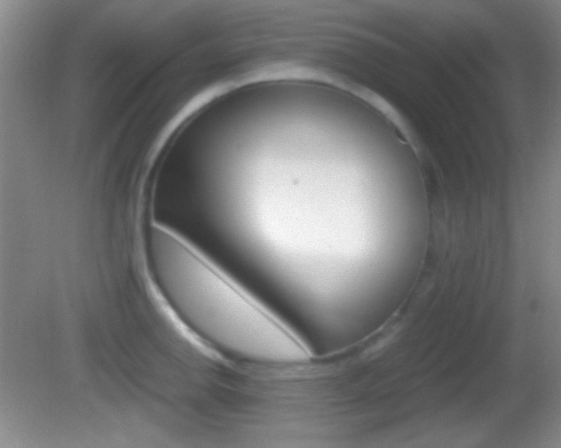 X0000082721142200701261023
