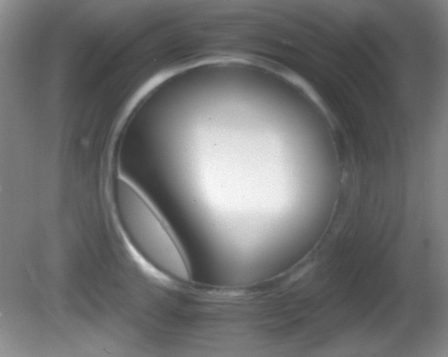 X0000082721143200701261023