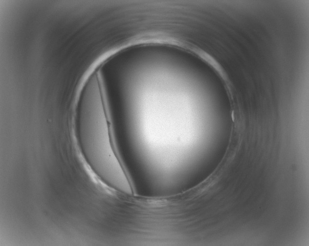 X0000082721144200701261023
